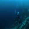djibyti (585)