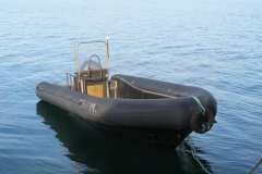 Дайвинг на Баренцевом море