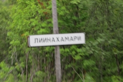 Лиинахамари