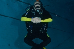 tjpvNgN1-3M