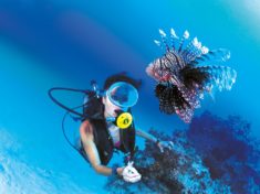 dive